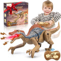 Remote Control Dinosaur Toys for Boys, 2.4G RC Dinosaur Robot with Light Sound, Kids Boy Toys Ages 3 4 5 6+ Year Old, Velociraptor Toys Christmas Gifts